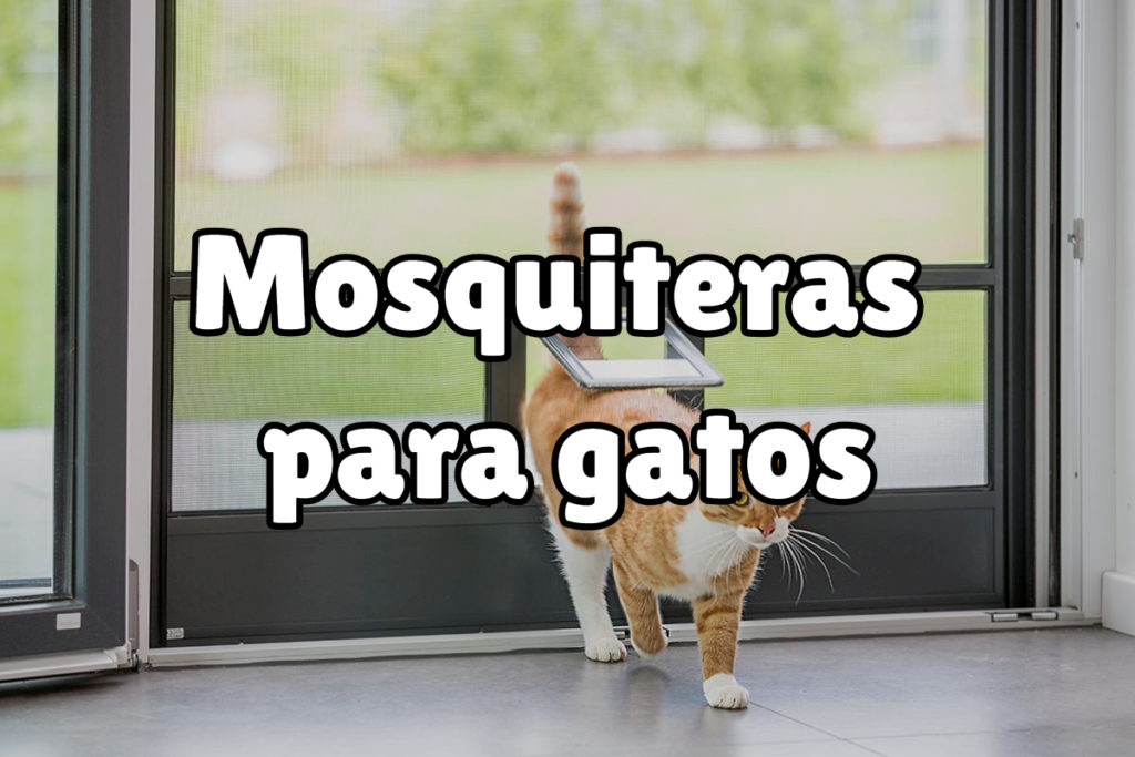 Proteger a tu gato de las caídas desde ventanas, balcones y terrazas