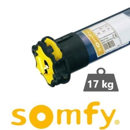 Somfy 1240386 mecanico de remplazo 20nm, Motor para persianas, Octagonal de  60mm, Fácil deinstalar, 20 NM : : Bricolaje y herramientas