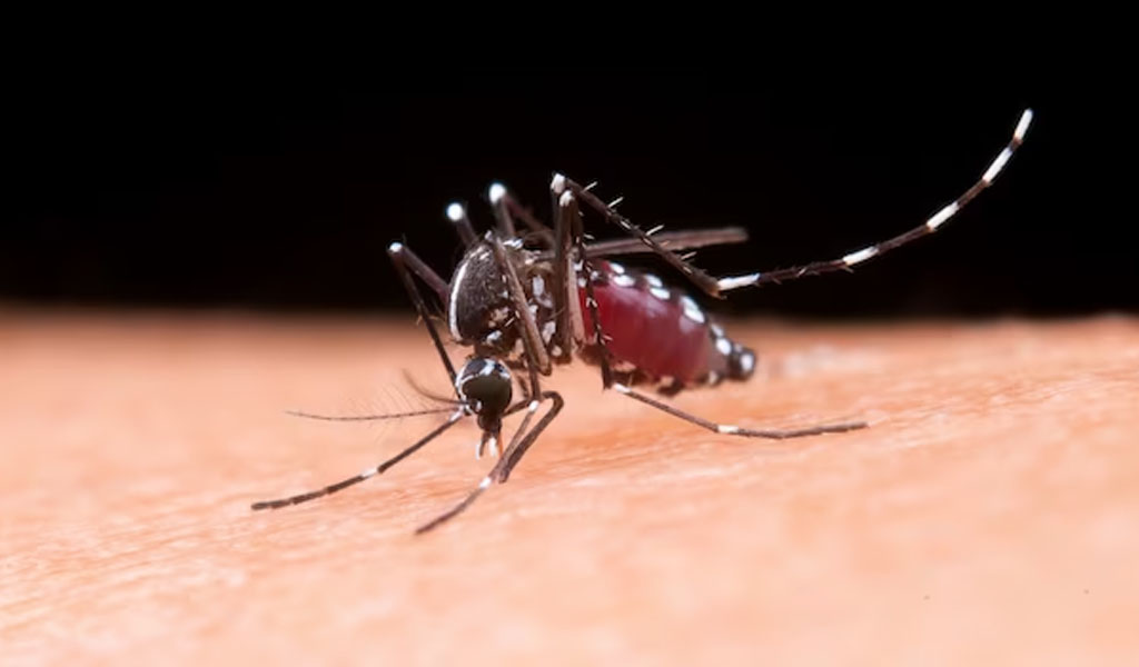 why some people get bitten by mosquitoes and not others