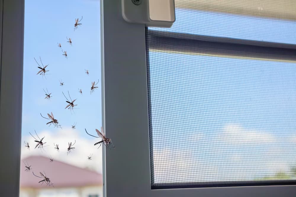 Innovative mosquito net design