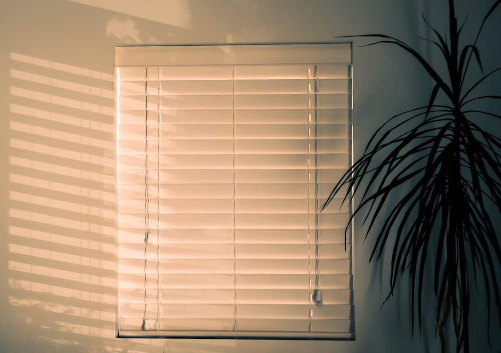 advantages of blinds